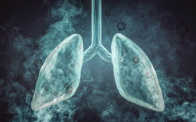 Thuốc lá gây ảnh hưởng nhiều tới hệ hô hấp như viêm phổi, viêm phế quản, hen suyễn,...